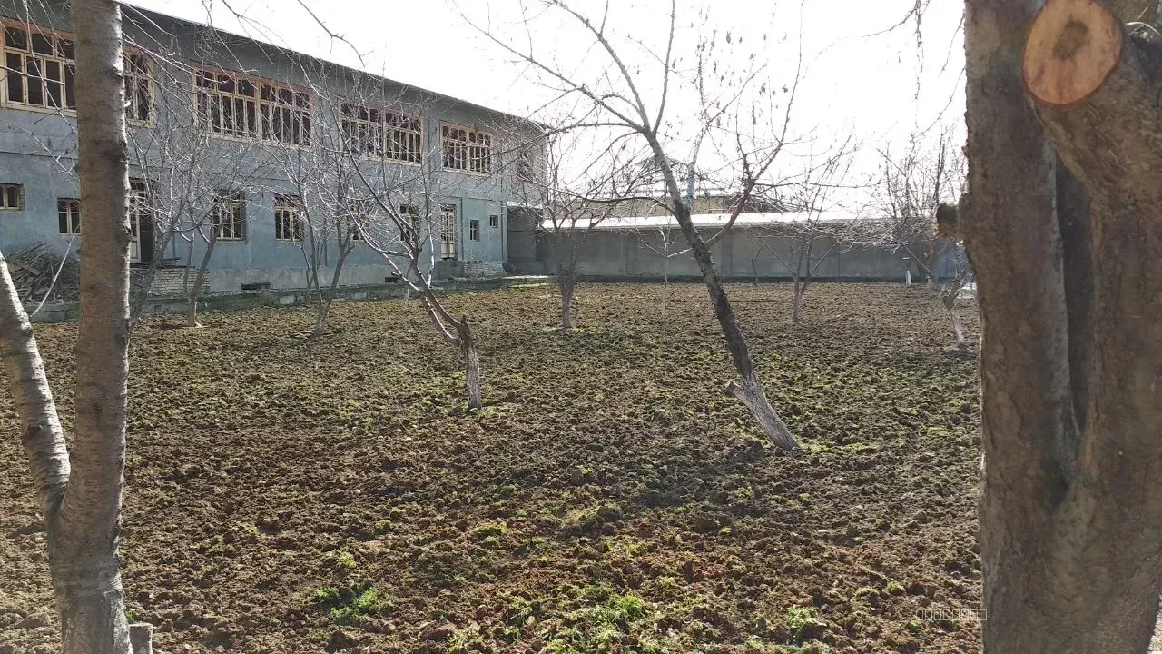 Srochna Hovli sotiladi 16000 sotig'i. Yangi Toshkent - Image 1