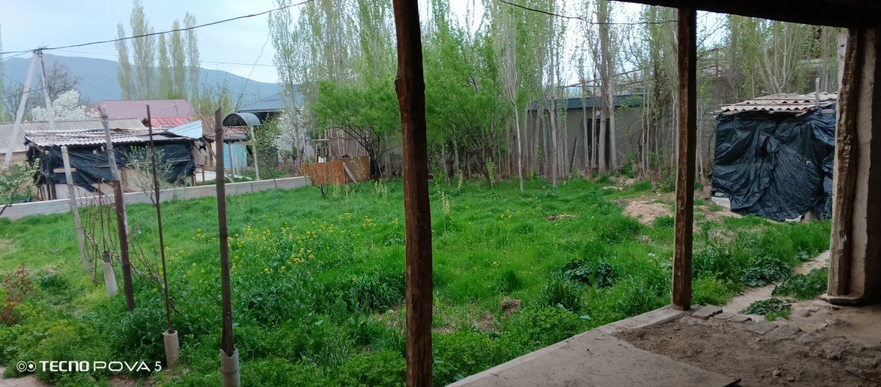 Boʻstonliq tumani Chimboylik qishlogʻida 7 sotix yer sotiladi... — Rasm 1