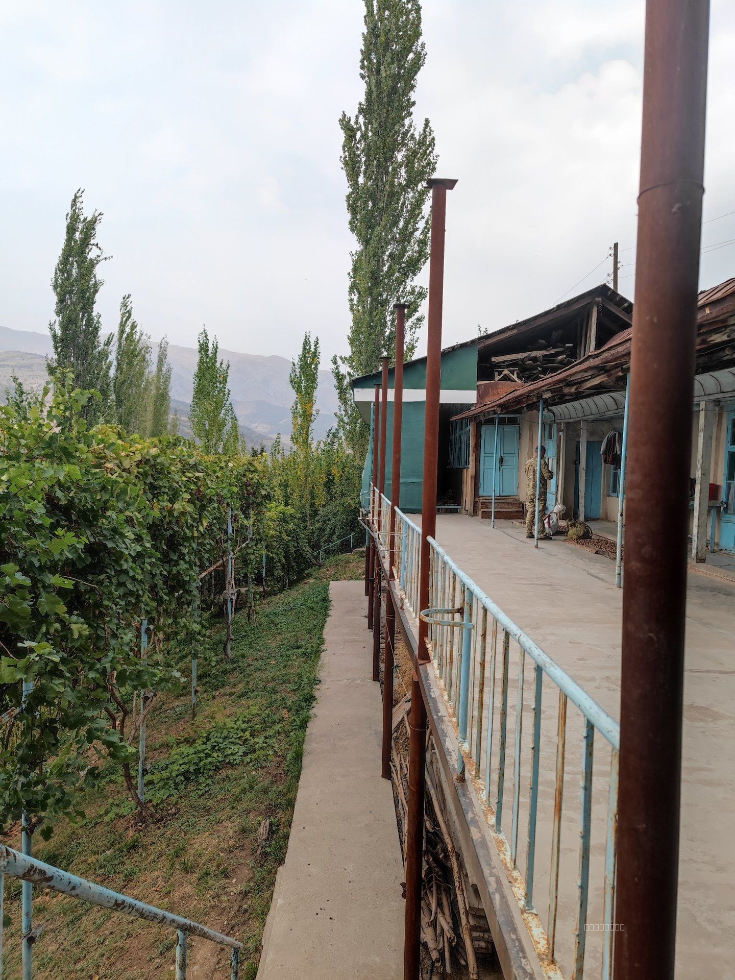 Dacha dala hovli — Rasm 1