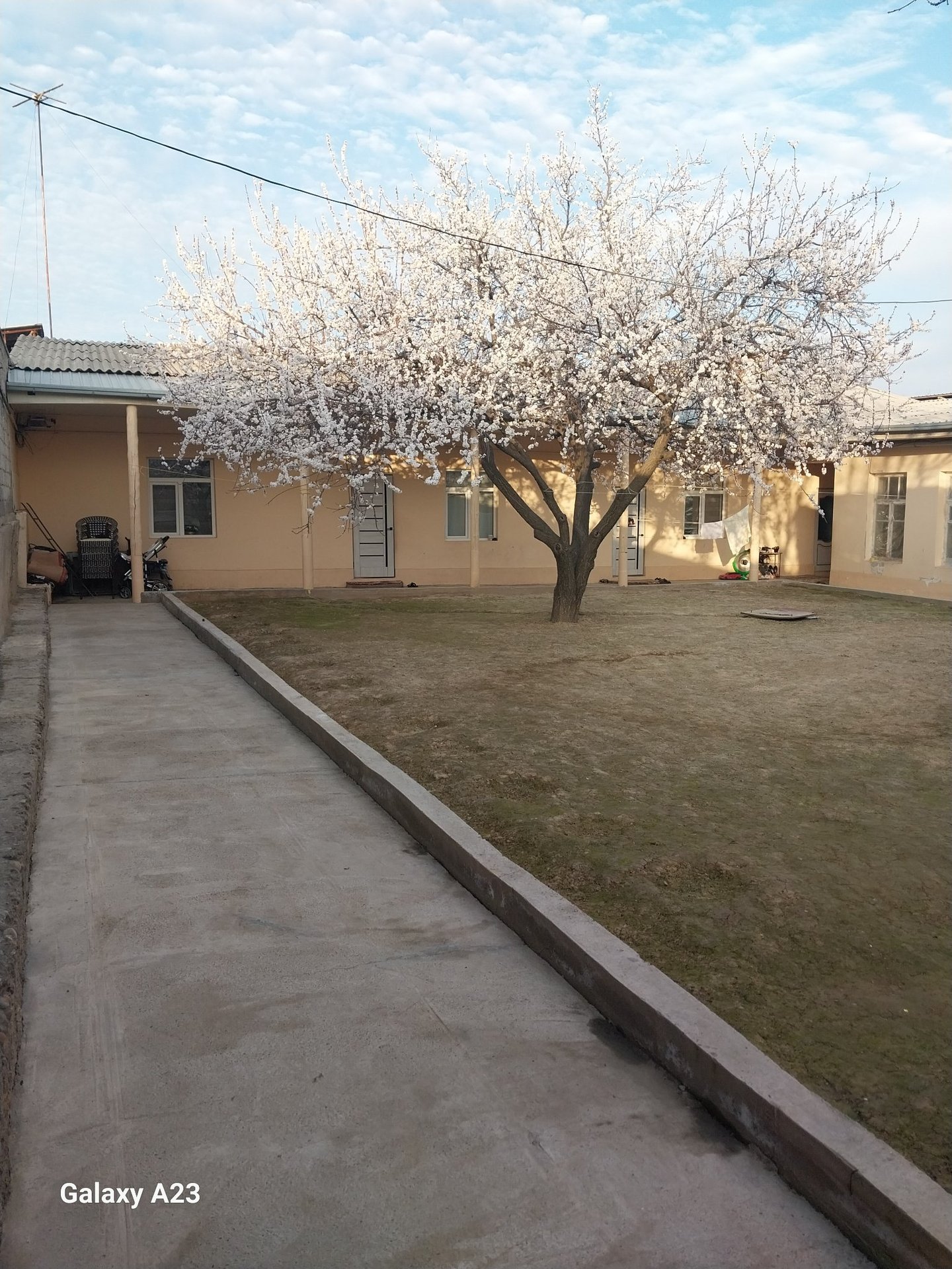 Nazarbek Iffitoq — Rasm 1