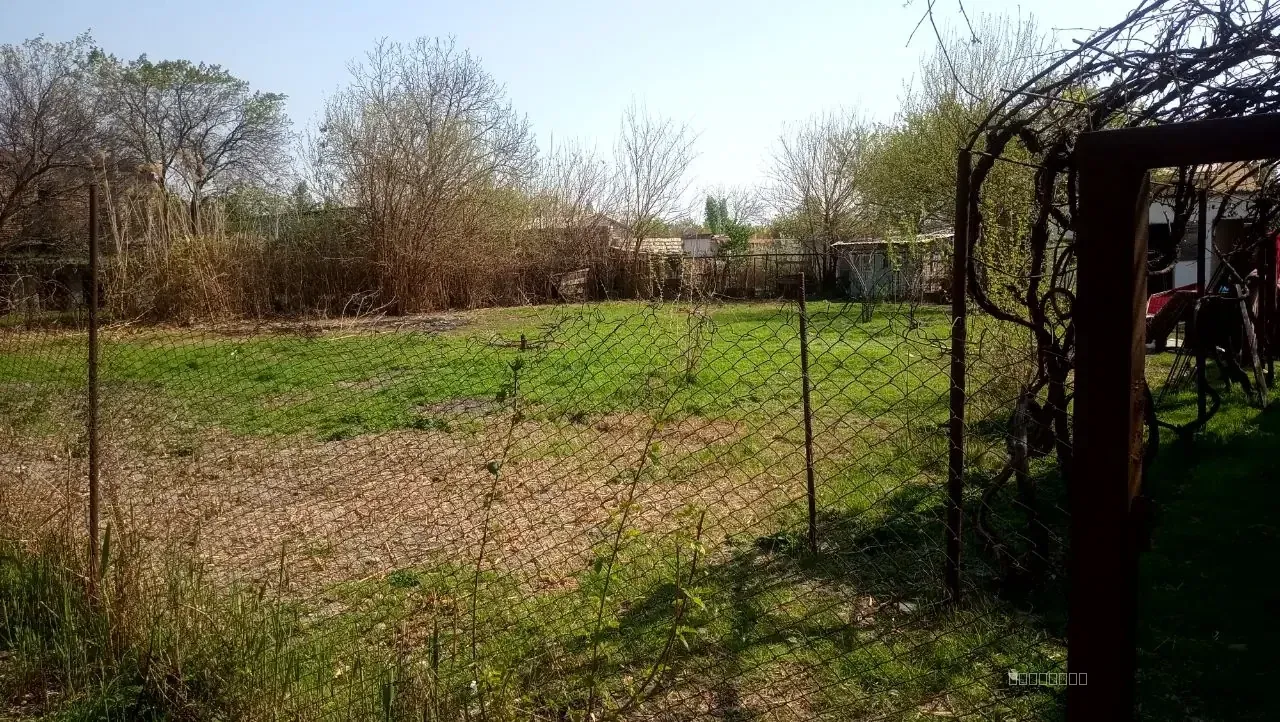 zangiota ziyoratgoh bog'zor mahalla - Image 1