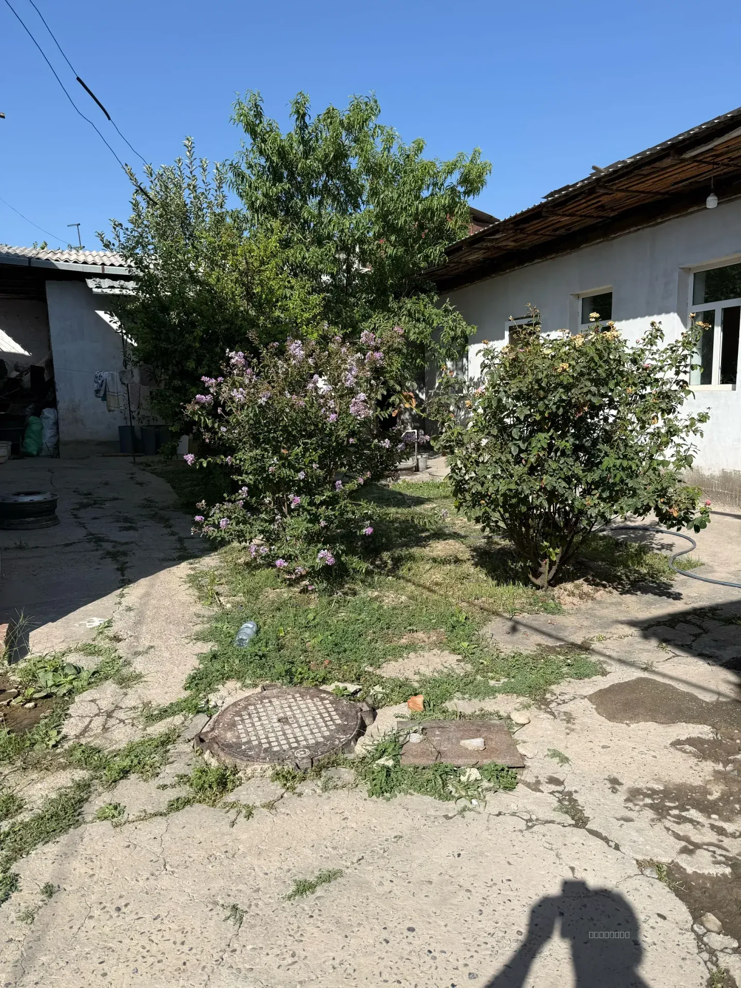 Sotmoqciman - Image 1