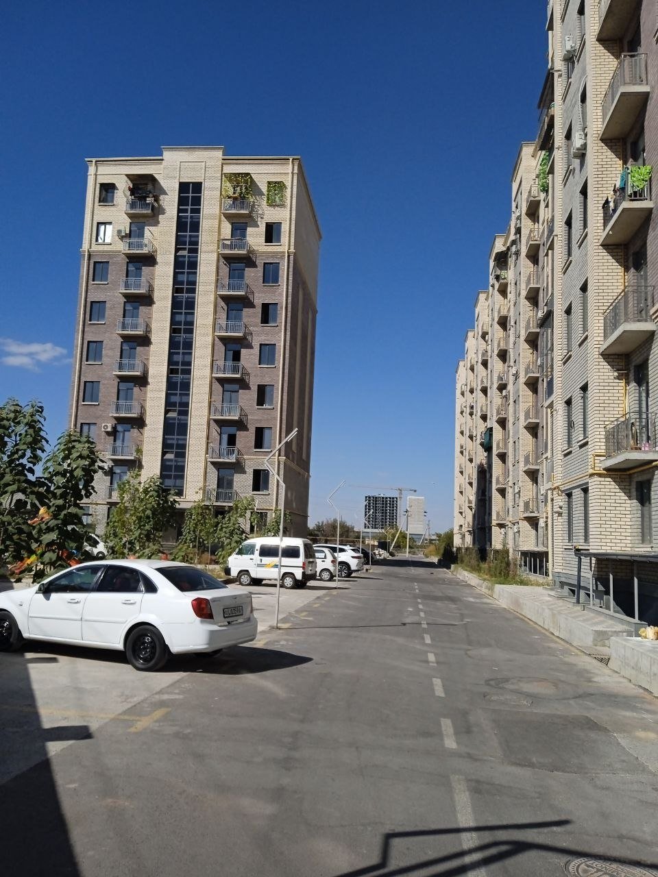 Sergili index bozor — Rasm 1